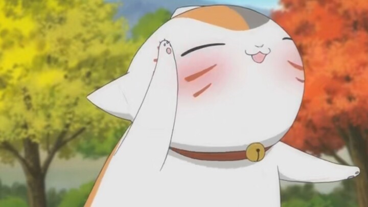 Intimate, cute and coquettish, this is my dream cat! [Cat Teacher]
