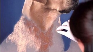 Seorang pelukis Spanyol menyelesaikan potret anjing ini dalam waktu 130 jam, rasanya seolah-olah see