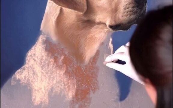 A Spanish artist spent 130 hours completing this portrait of a dog—it feels like the dog is about to