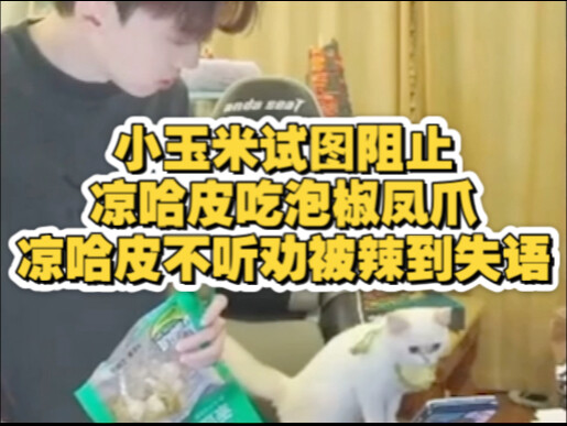 【Liang Hapi】Even little corn can’t save Guangdong from its love of spicy food—death by chili!