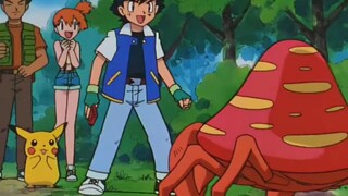 episode 41_50
