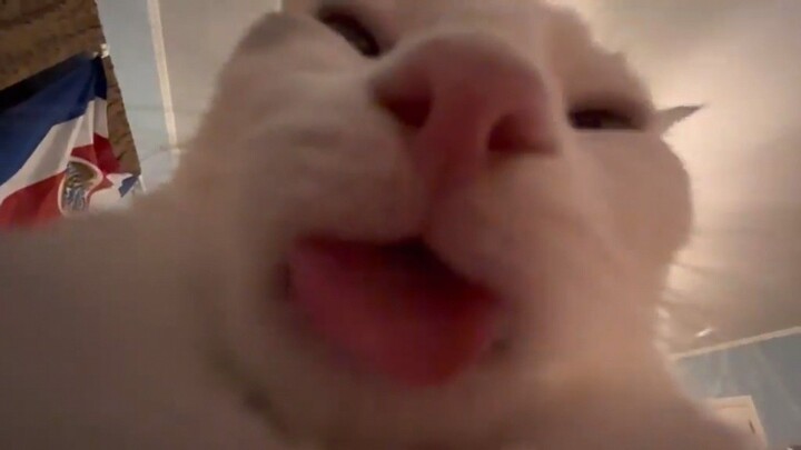 😛😛😛😛😛