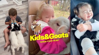 小孩和小羊都是可爱的宝宝💗