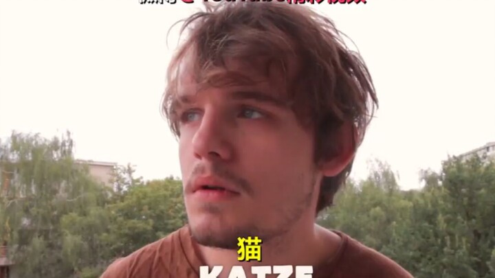 【#The Difference Between Raising Cats and Dogs#】