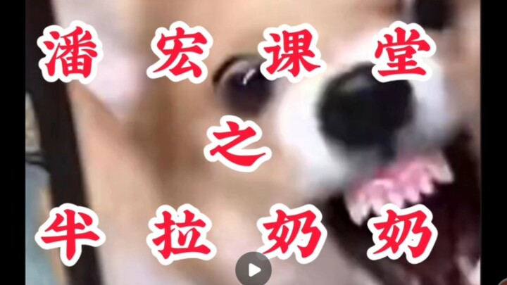 Pan Hong’s Class: Grandma Banla