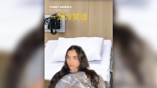 一则谐音梗冷笑话