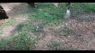 Some More 2022 Sparring Sessions.