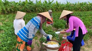 Làm Mẻ Bánh Chuối Ra Đồng Bán Cho Bà Con Ai Cũng Mừng | NĐMT#166