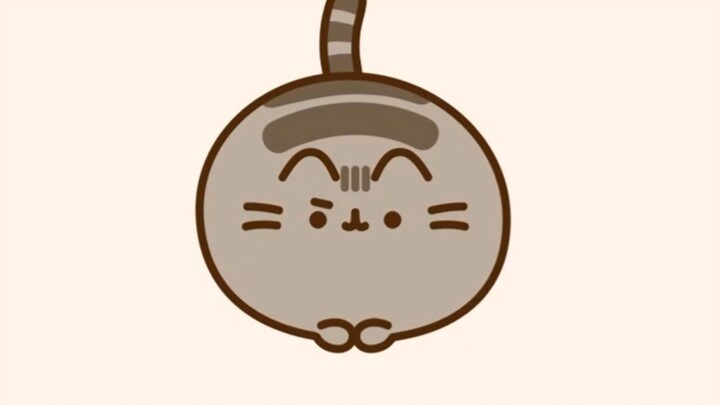 “Fun Cat Moments Just for You”