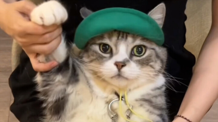 Temukan arah baru yang cocok untukmu: gaya manis dan imut!