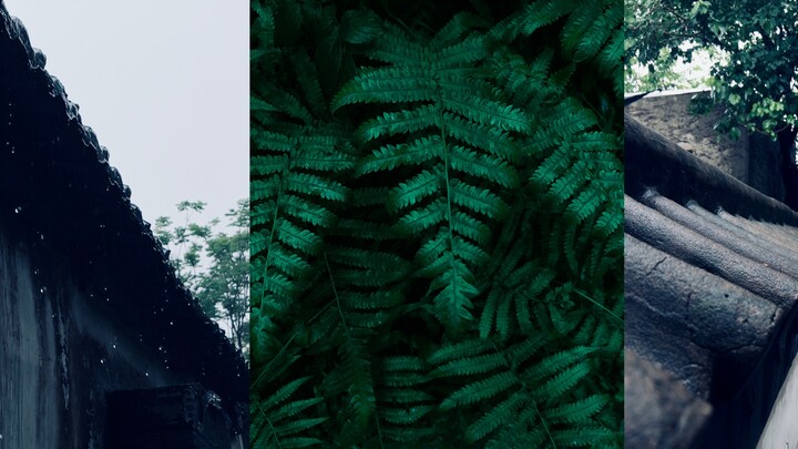 【Tutorial Fotografi】Cara Menghasilkan Nuansa Hujan saat Memotret di Hari Hujan
