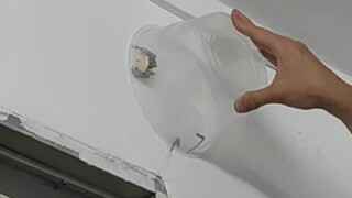 "宿舍养的宠物"