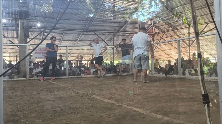 🏆🏆