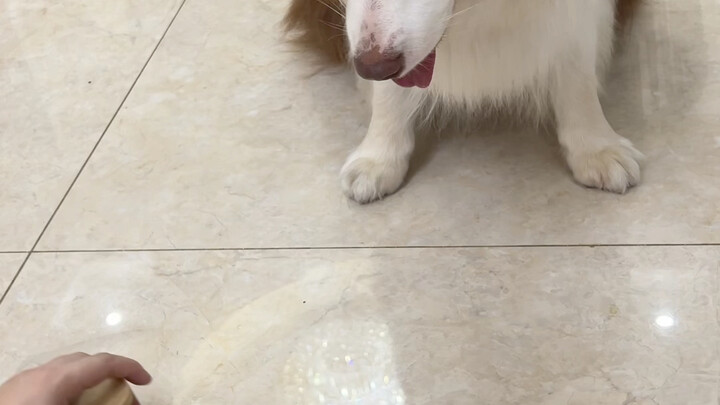 I feel like this guy at home has probably forgotten he can still rely on his nose to smell.