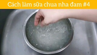 Cách làm sữa chua nha đam p4