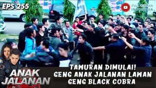TAWURAN DIMULAI! GENG ANAK JALANAN LAWAN GENG BLACK COBRA - ANAK JALANAN