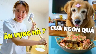 Đại Trang | MAMA Số Khổ, Suốt Ngày bị ĐẠI TRANG Ăn Vụng 🤣 Gâu Đần Official