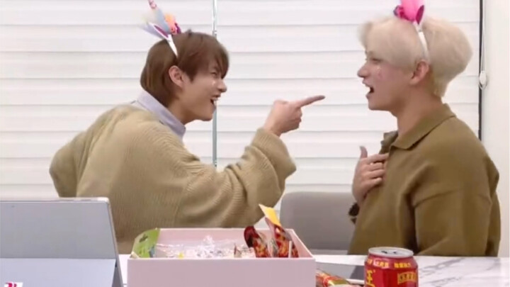 [Wen Junhui/Hong Zhixiu] Those two fools call me a fool
