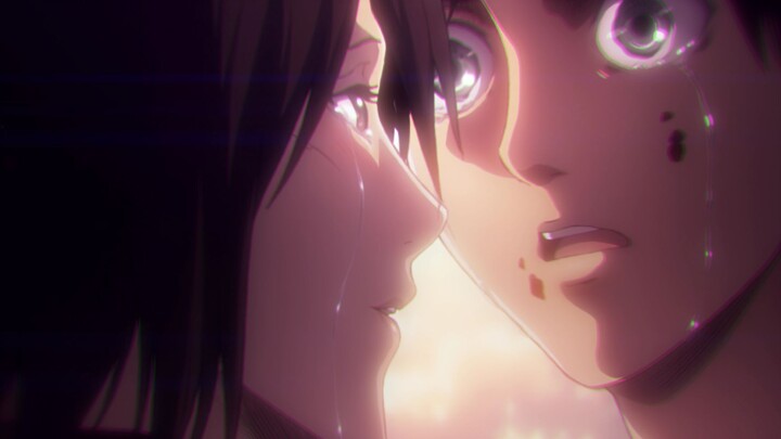[Hoạt hình] Mikasa, cô ấy thực sự thích anh. Anh sẽ định như thế nào? 