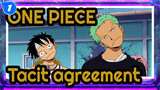ONE PIECE|[Tacit agreement of Straw Hat Pirates]Always stop in odd places_1