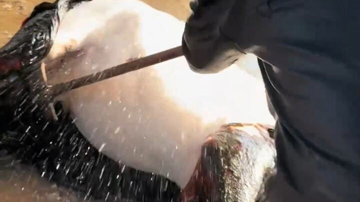 Donkey: Even Ximen Qing isn’t this strong!