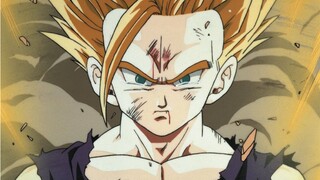 "My name is Son Gohan, and I want to be a great scholar"