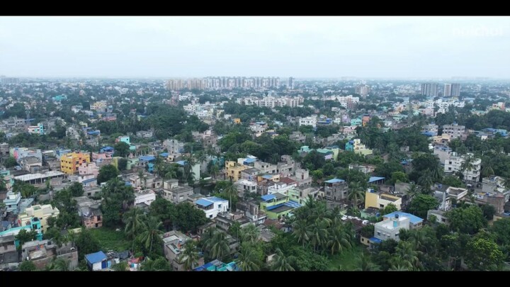 sijon-1