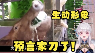 【梨安】几小时后的猪包~我超盒😱预言家刀了！🤣