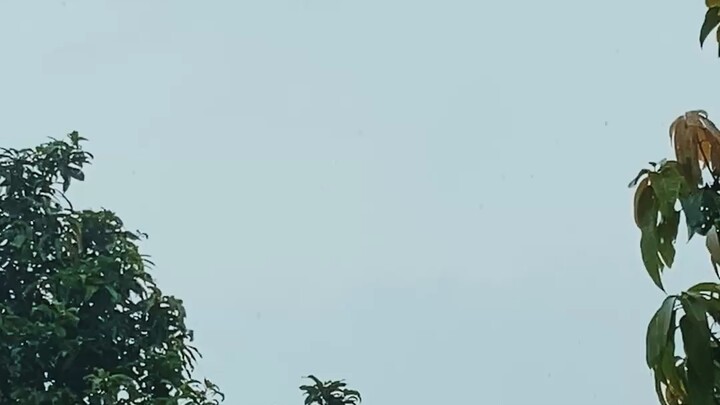 বৃষ্টি 🌧️