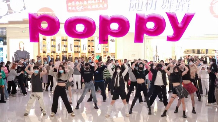 【STAYC】My heart is racing! Why are they all so sweet?! POPPY's Random Dance | Sing-Along and Dance A