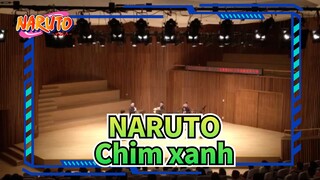 [NARUTO] Chim xanh~ Bộ tứ Chongqing Woodwind