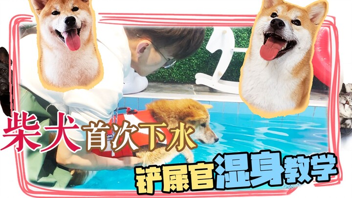 【Bí Đạo VLOG】Chó Shiba lần đầu tiên đi bơi, chủ nhân đích thân xuống nước vừa dạy vừa dầm mình