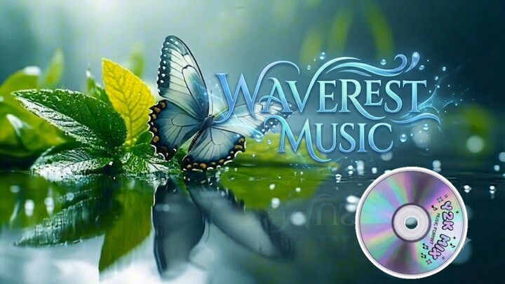 waverest music #music