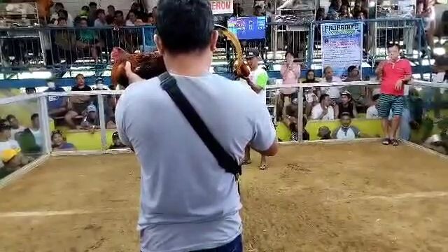 1stfight ni white air