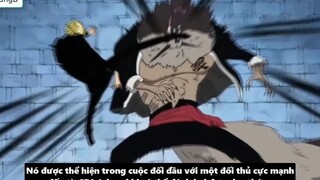 Sanji Có Haki Bá Vương Hay Không_ - Tiềm Năng Sức Mạnh Của Sanji p6