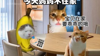 今天妈妈不在家