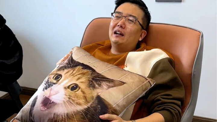 Undercover at "Cat De Academy"