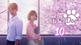 🇰🇷Ep.10 | A GoodDay To Be A Dog (2023) [Eng Sub]