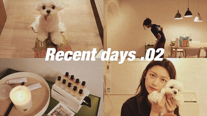 VLOG | น้องหมาตัวที่สองของฉัน | ยอร์กเชียร์