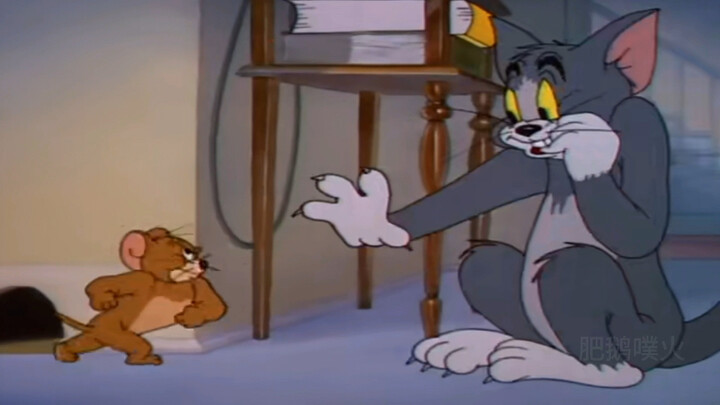 Kucing dan tikus yang berbeda