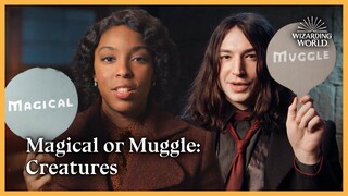 Magical or Muggle: Creatures | Fantastic Beasts: The Secrets of Dumbledore