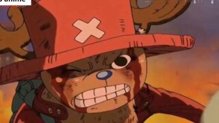 Shanks cướp trái Gomu Gomu! Chopper chịu tác dụng phụ của Monster Point p5