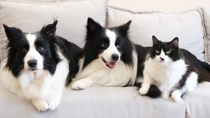 ครอบครัวสามคน ลูกอายุสามขวบกว่าแล้ว!