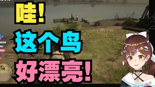 Wow! This bird is so beautiful! 【Nana7mi】