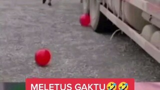 kirain balon ternyata kepala orang 😂😂