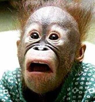 如果你能跟他对视10秒，说明你冷血指数很高