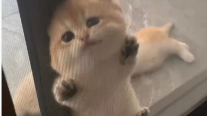 I just have to kiss this little gadget!