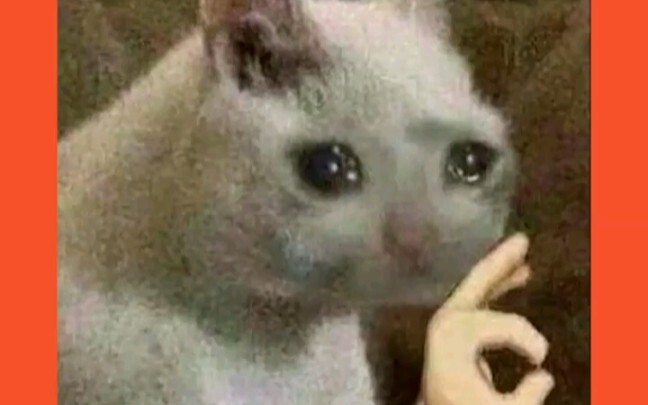 เปิดเผยอีโมจิหัวแมวตาเปียก