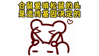 【鼠糖】仓鼠爱啃松鼠的头和女儿们爱吃仓鼠都是遗传！