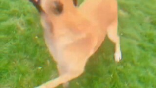 做回自己 勇敢去做